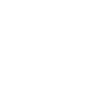 Icon multilingual support
