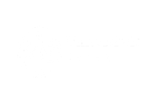 Logo university leiden