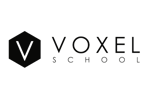 voxel-1